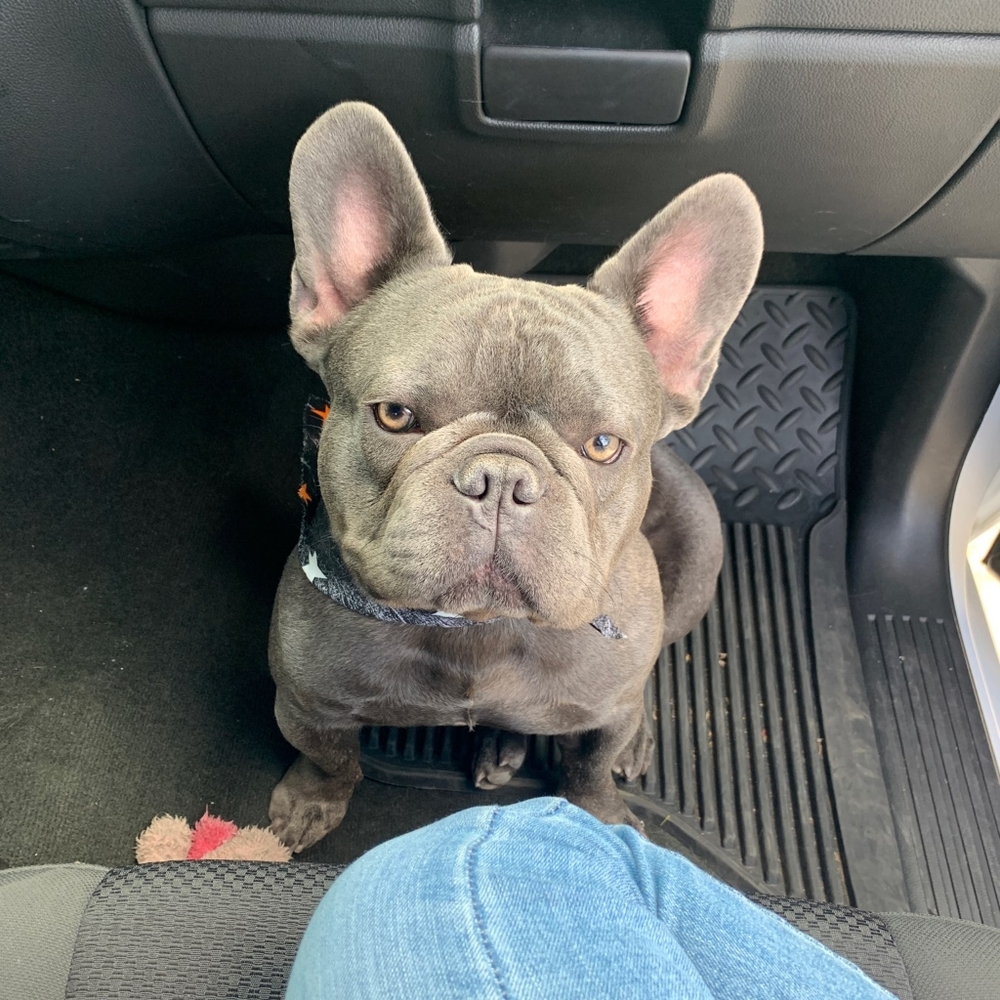 Meet your Posher, Ruben